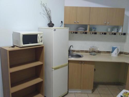 敖德萨квартира的小厨房配有白色冰箱和微波炉