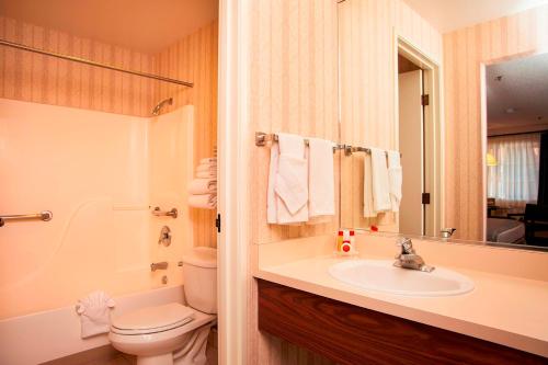 明登Carson Valley Motor Lodge and Extended Stay的一间带水槽、卫生间和镜子的浴室