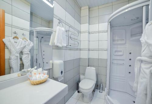 伊尔库茨克帝国酒店 的浴室配有卫生间、盥洗盆和淋浴。