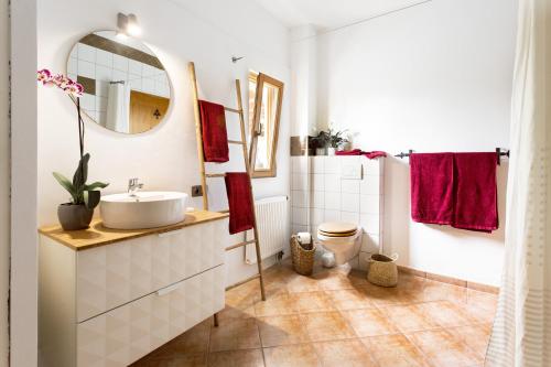 柳奇马约尔Finca Can Paulino的一间带水槽和镜子的浴室