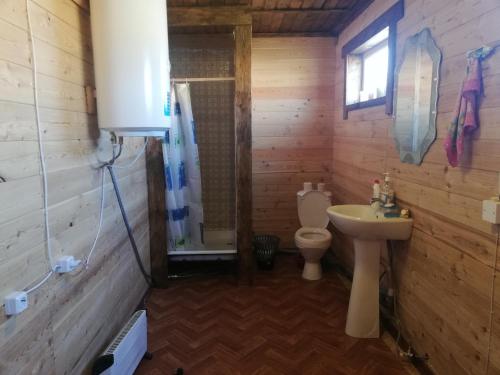 Guest House Dudeevykh的一间浴室