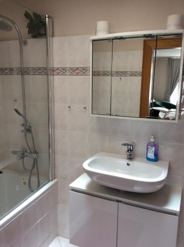 帕尔杜比采金色天使酒店的一间带水槽、淋浴和镜子的浴室