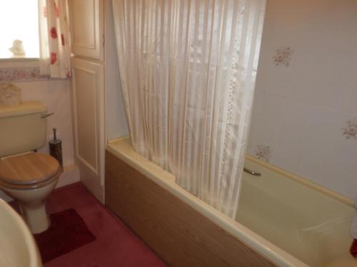 布兰普顿Hullerbank的浴室设有卫生间和带淋浴帘的浴缸。