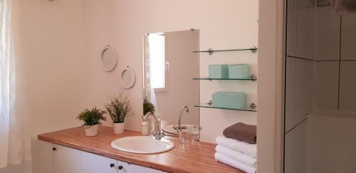 菲加里Chambres d'hôtes Caseddu Di Poggiale的一间带水槽和镜子的浴室