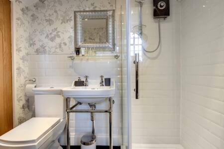 SwintonCarnegie Library: Bronte Apartment 1 bedroom的一间带水槽、卫生间和淋浴的浴室