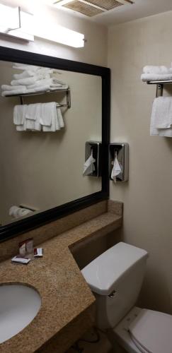 博登镇MHO Hotel Bordentown的浴室设有镜子、卫生间和水槽