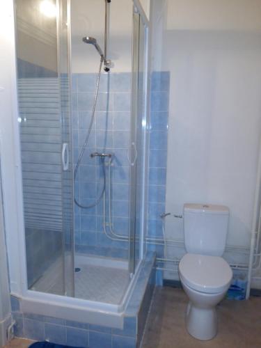 马扎梅Quai de l ' Arnette的一间带卫生间和玻璃淋浴间的浴室