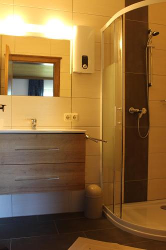 Lungötz卡夫公寓的带淋浴、盥洗盆和镜子的浴室