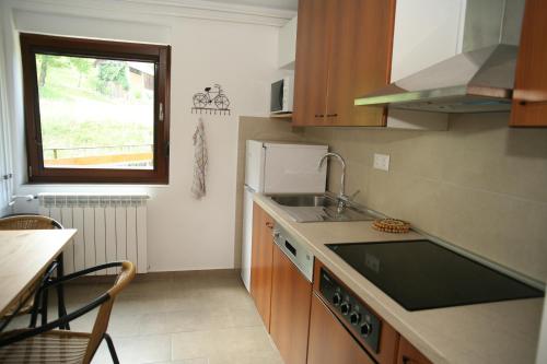 采尔克诺Apartma Opalika的一个带水槽和窗户的小厨房