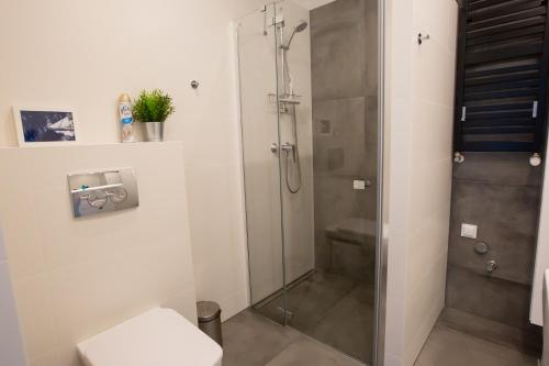 济夫努夫Apartament MORSKI WIDOK GARDENIA Dziwnów的浴室里设有玻璃门淋浴