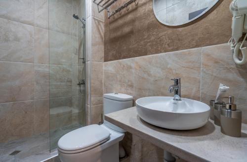 卡兹贝吉Travel Inn Kazbegi的一间带水槽、卫生间和淋浴的浴室