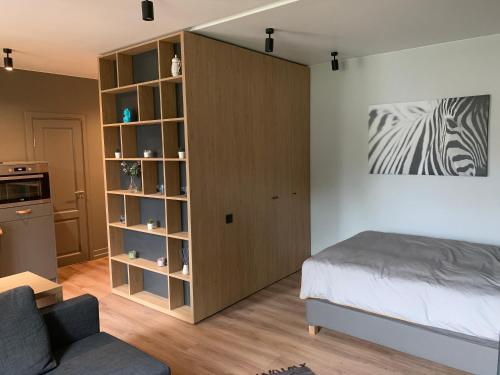 里加S7 Apartment的一间卧室设有一张床和一个书架