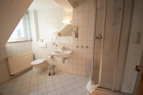 腓特烈罗达Tanzbuche的浴室配有卫生间、盥洗盆和淋浴。
