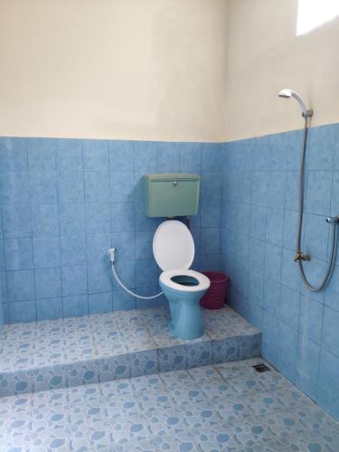 TirtaganggaRijasa Homestay的蓝色的浴室设有带淋浴的卫生间