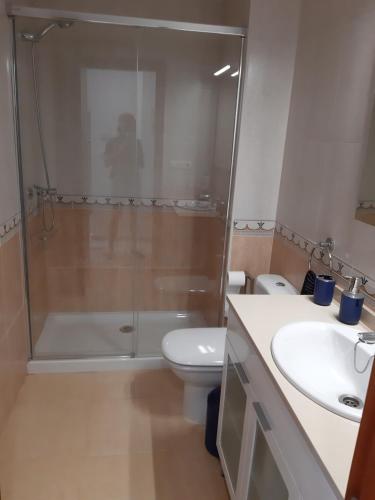布埃乌Apartamento muy Coqueto的带淋浴、卫生间和盥洗盆的浴室