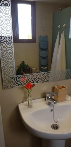 绍萨尔Elescondite的一间带水槽和镜子的浴室