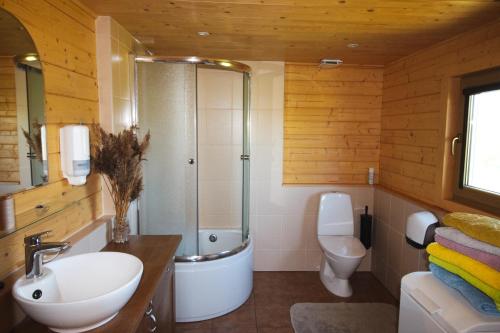 SuuresadamaPõhja Tooma Holiday Houses的一间带水槽、淋浴和卫生间的浴室