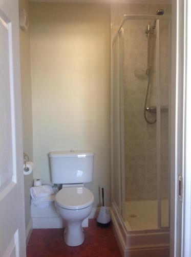 塔拉莫尔Harbour House的一间带卫生间和淋浴的浴室