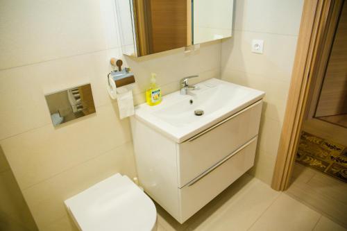 皮特什蒂Apartament Calea Bucuresti的浴室配有白色水槽和卫生间。