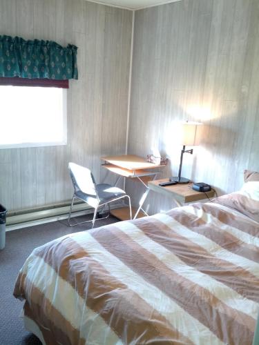 丘吉尔熊之乡旅馆的配有一张床、一张书桌和一扇窗户的酒店客房