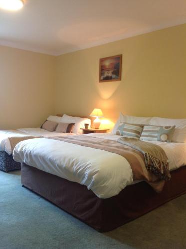 Ballyvourney阿比酒店 的酒店客房,设有两张床和一盏灯