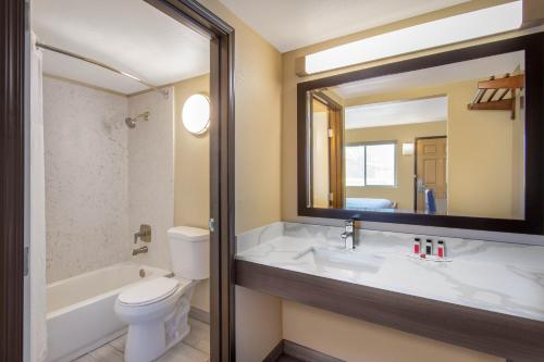 默塞德巴基特旅馆的一间带水槽、卫生间和镜子的浴室