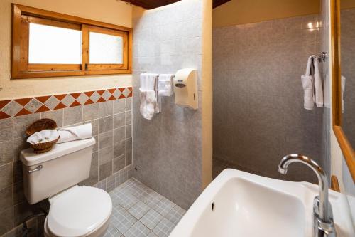 帕纳哈切尔瑞吉斯酒店Spa的一间带卫生间和水槽的浴室