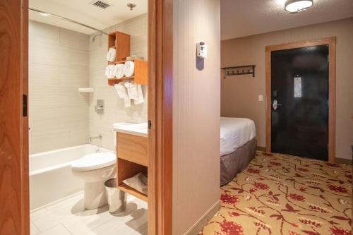 班夫班夫雷鸟酒店的浴室配有卫生间、盥洗盆和浴缸。