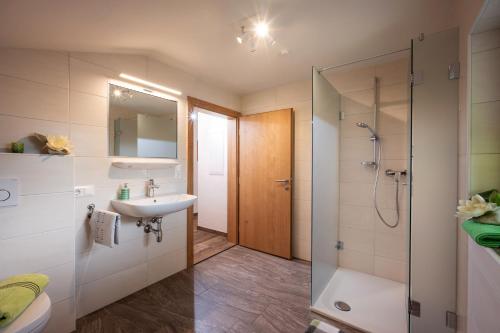 海因岑贝格Saibatenhof的带淋浴、盥洗盆和卫生间的浴室