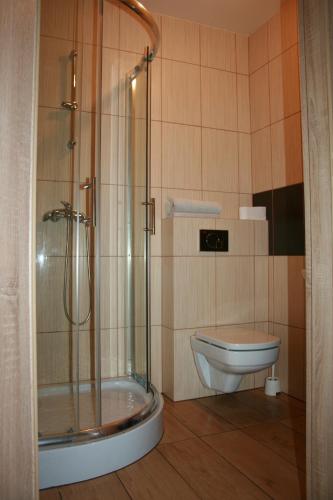 KamienicaArarauna的带淋浴和卫生间的浴室