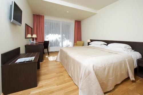 帕兰加波罗的酒店的一间卧室配有一张床、一张书桌和一台电视