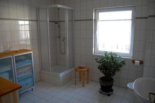 KarninHaus am Haff的带淋浴和盥洗盆的浴室