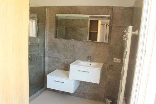 艾居厄河畔卡马勒Villa de la Capèra的浴室配有白色水槽和淋浴。