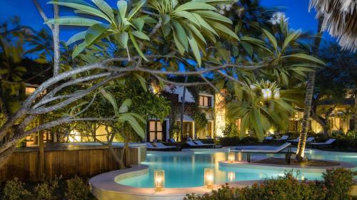 杰里科科拉吾之蓝酒店的棕榈树之夜带游泳池的度假酒店