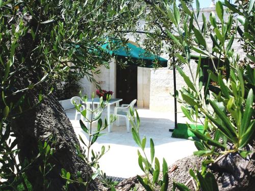 阿尔贝罗贝洛迪莫拉玛塔乐思特鲁利住宿加早餐酒店的庭院配有两把白色椅子和一张桌子