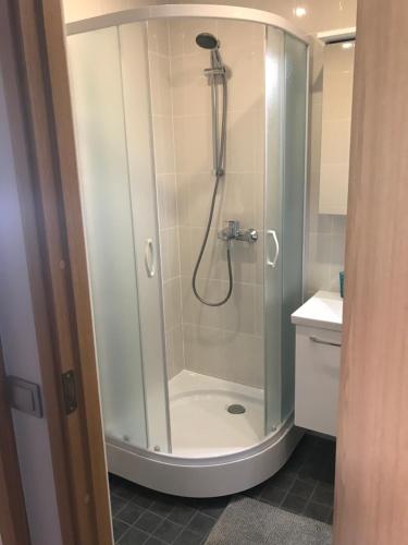 派德1-Bedroom apartment in city centre的浴室里设有玻璃门淋浴