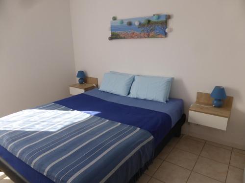 卡尔卡松Drissia&Othman Bella Vista的一间位于客房内的蓝色床卧室
