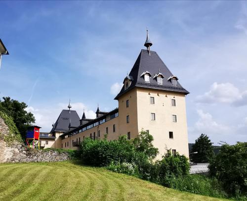 米尔施塔特Turmapartment Lindenhof的一座大型建筑,在田野上设有黑色屋顶