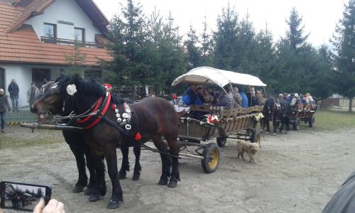 斯洛莫夫采维日奈Pokoje u Pitera的一群骑着马车的人