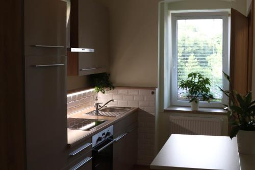 Bakov nad JizerouSLO. Apartments的厨房设有水槽和窗户。