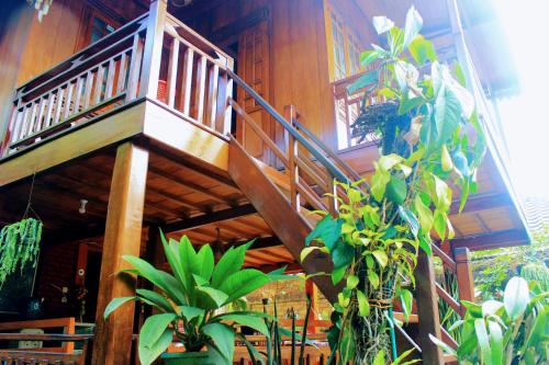 伦邦Oemah Kajoe Lembang的植物丛中的木楼梯