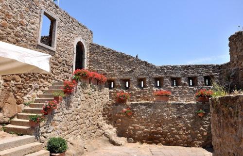Isola del GiglioAccogliente monolocale的石墙,石墙,石墙,植物盆