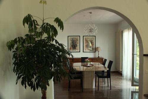 卡迪马里奥Casa Creavita的一间设有桌子和盆栽的饭厅