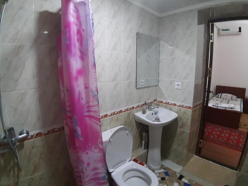 希瓦Khiva Indi Guest House的一间带卫生间和水槽的浴室