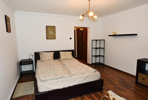 布拉索夫Gya Residence的卧室配有一张床