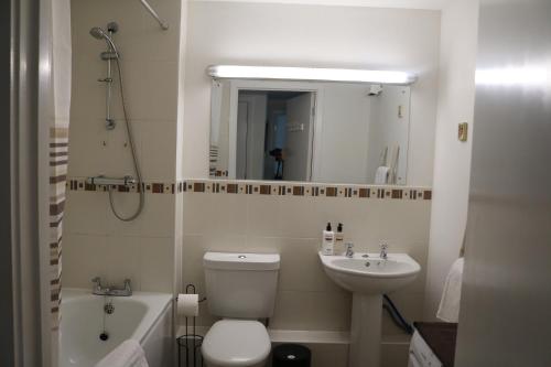 温彻斯特City Apartment的一间带卫生间、水槽和镜子的浴室
