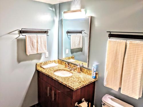 哥伦布Downtown Loft Oasis的一间带水槽和镜子的浴室