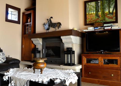 圣马尔廷德尔卡斯塔尼亚尔CASA RURAL VERSOS的客厅设有壁炉和电视。