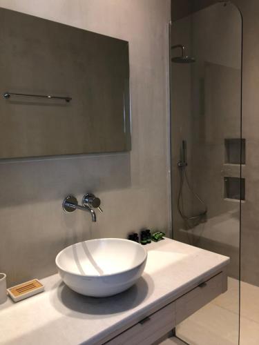 迈洛波塔斯Theros apartments 2的一间带一个碗水槽和淋浴的浴室