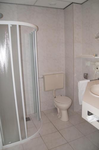 泽伊德拉伦布灵克酒店的带淋浴、卫生间和盥洗盆的浴室